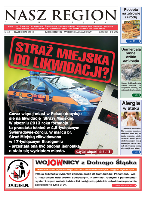 Read more about the article Straż miejska do likwidacji?
