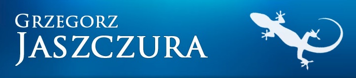 Read more about the article Dwadzieścia lat w unii